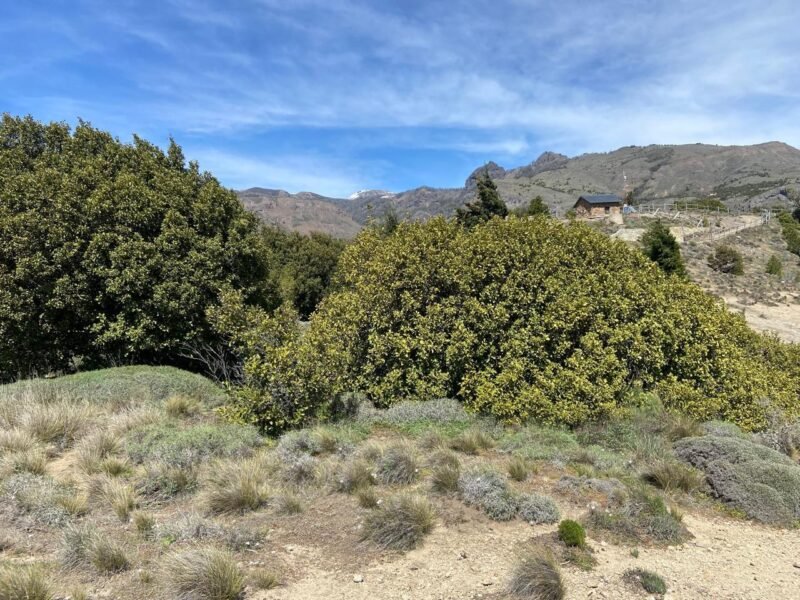 Terreno en Los Faldeos de Chapelco