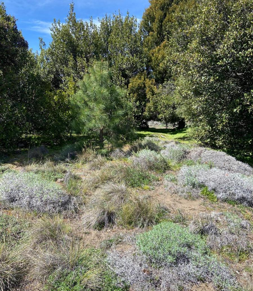 Terreno en Los Faldeos de Chapelco