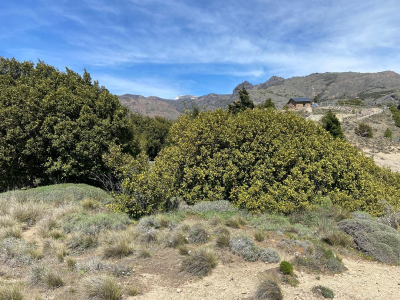 Terreno en Los Faldeos de Chapelco