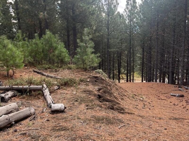 Terreno en Chapelco Golf & Resort