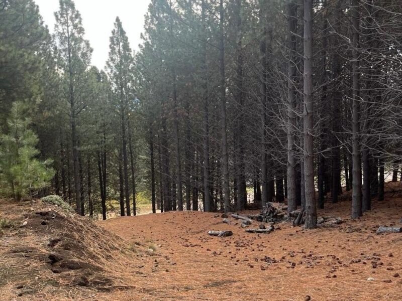 Terreno en Chapelco Golf & Resort