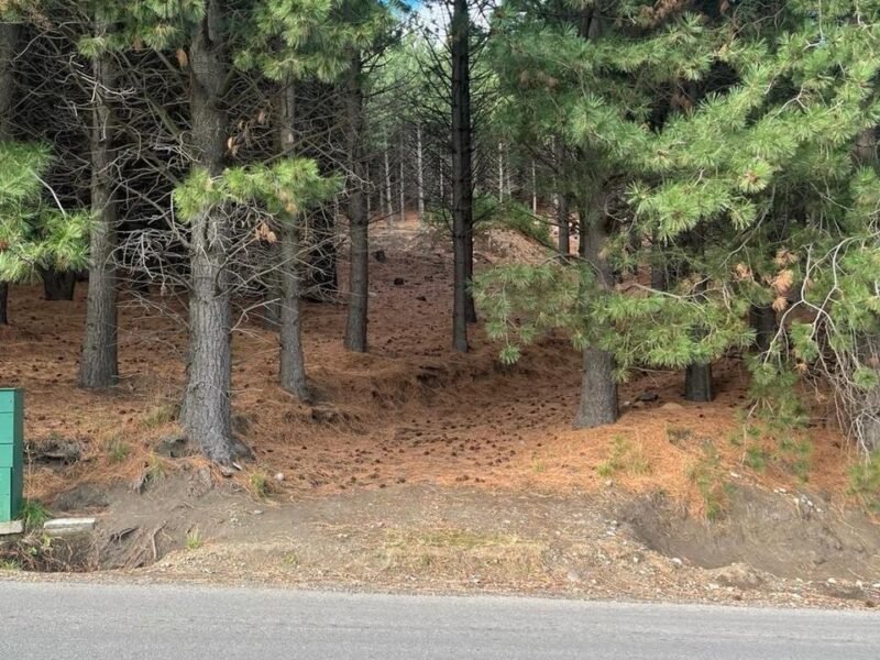 Terreno en Chapelco Golf & Resort