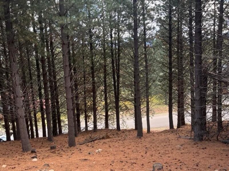Terreno en Chapelco Golf & Resort