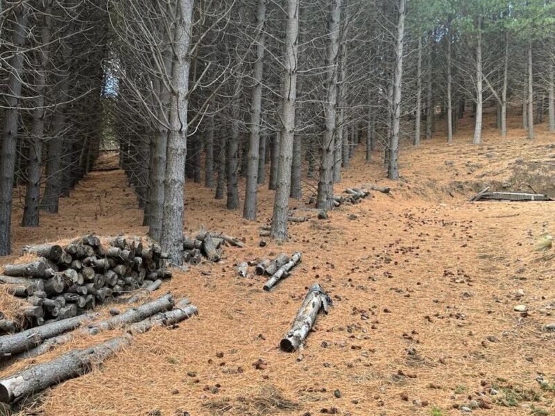Terreno en Chapelco Golf & Resort