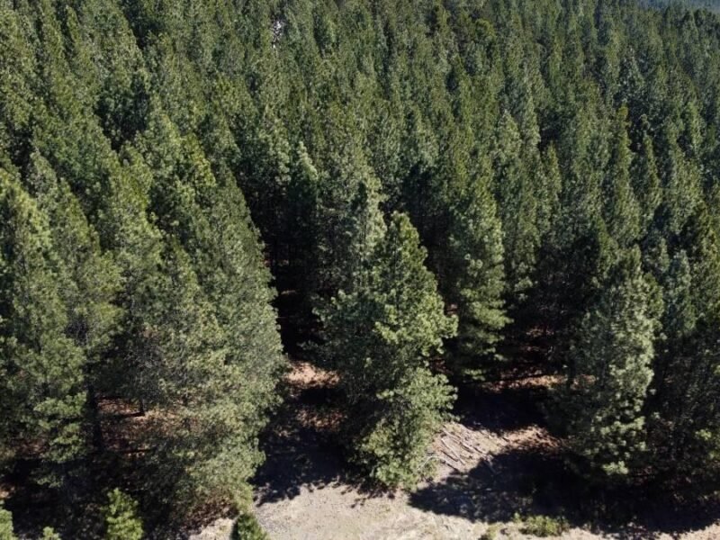 Terreno en El Desafío