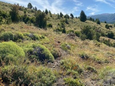 Terreno con vista al lago lolog en Barrio Kaleuche