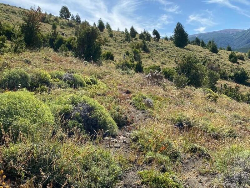 Terreno con vista al lago lolog en Barrio Kaleuche