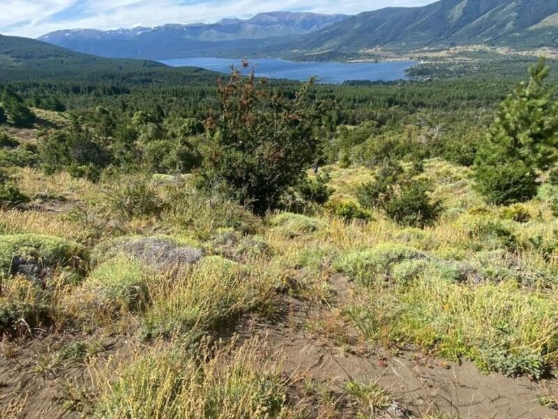 Terreno con vista al lago lolog en Barrio Kaleuche