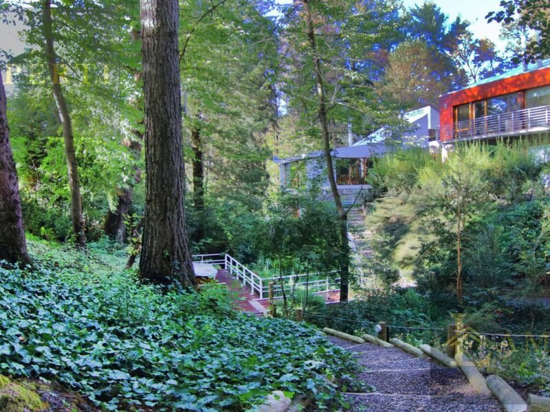 Invertí en una experiencia única en la Patagonia | Kalasur Apart Hotel Boutique