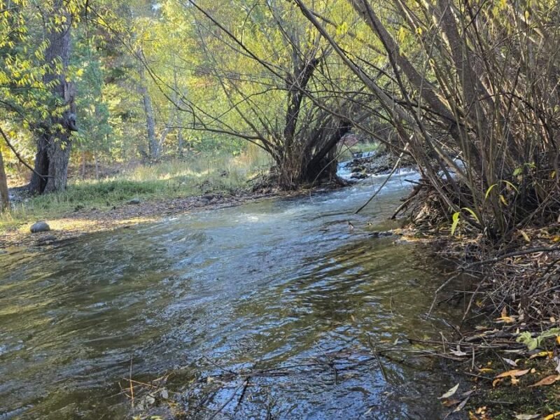 CHACRA