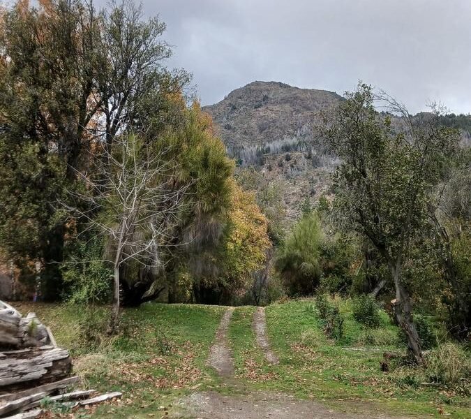 CHACRA