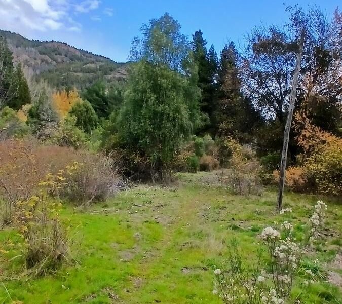 CHACRA