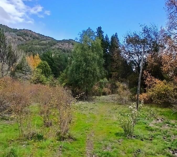 CHACRA
